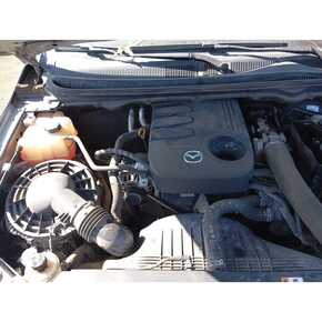 Nunc congue dui nec...