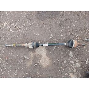 Nunc congue dui nec...